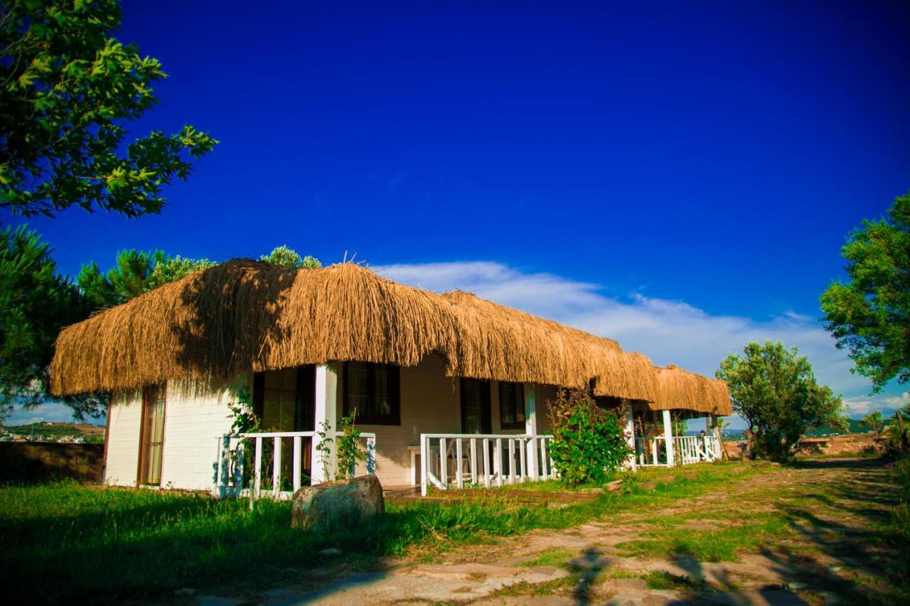 Cunda Fora Glamping Hotel Ayvalik Exterior photo